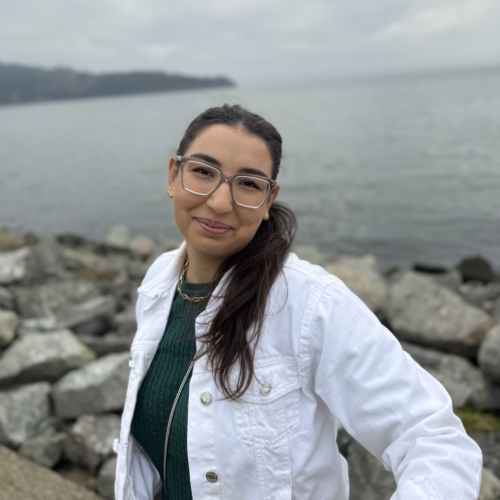 Seyyide Hacersultan Embel