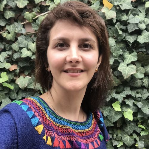 Fatemeh Tavassoli